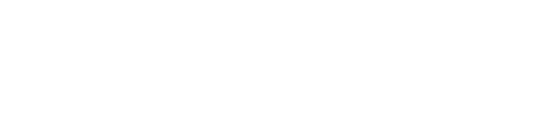 PROFI Logo